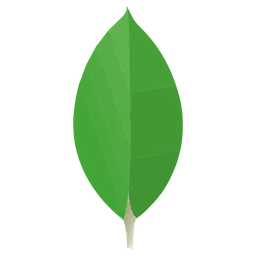 MongoDB
